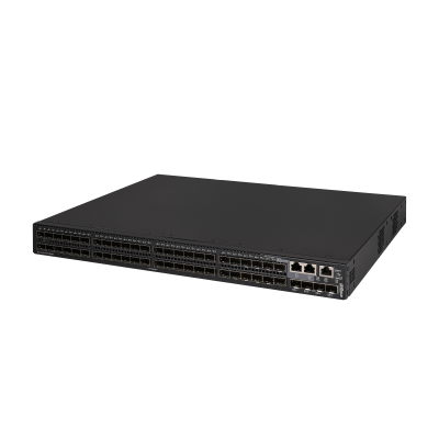 DH-AS5500-48GF4XF