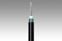potavio fiber CABLE 12COR(SM)