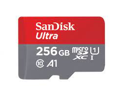 SAN DISK 256GB